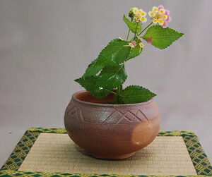 Vase plat « iki-sashi », à piquer par le dessus · Arakawa Akira