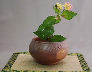 Vase plat « iki-sashi », à piquer par le dessus · Arakawa Akira